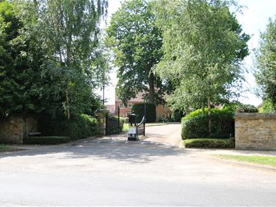 Picture 21